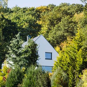 Haus L - Osten Perspektive Wald