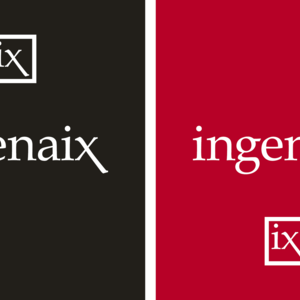 Ingenaix - CI Farbe